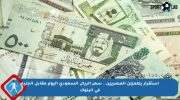 استقرار يطمئن المصريين.. سعر الريال السعودي اليوم مقابل الجنيه في البنوك